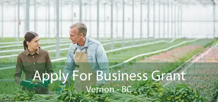 Apply For Business Grant Vernon - BC